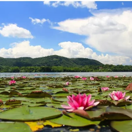 Borgo Del House Apartment Varano Borghi